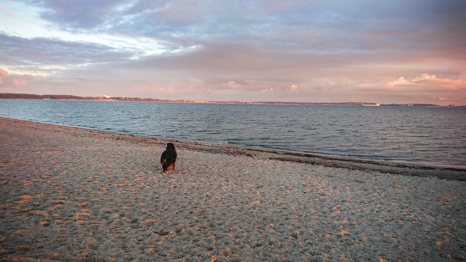 Da lohnt sich das frühe Aufstehen: Morgendlicher Spaziergang am Strand von Laboe.
