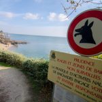Auf einen Blick: Mit Hund nach Frankreich
