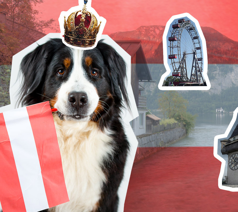 Auf einen Blick Mit Hund nach Österreich Hundterwegs