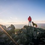 5 Helfer für die Reiseplanung mit Hund