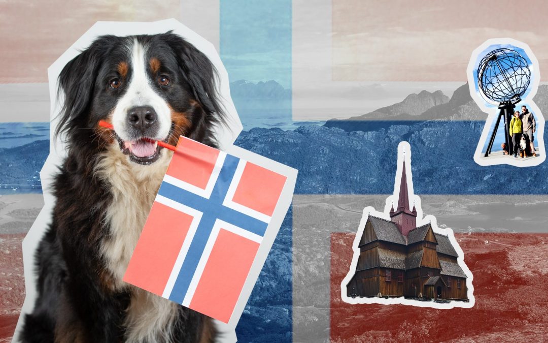 Auf einen Blick: Mit Hund nach Norwegen
