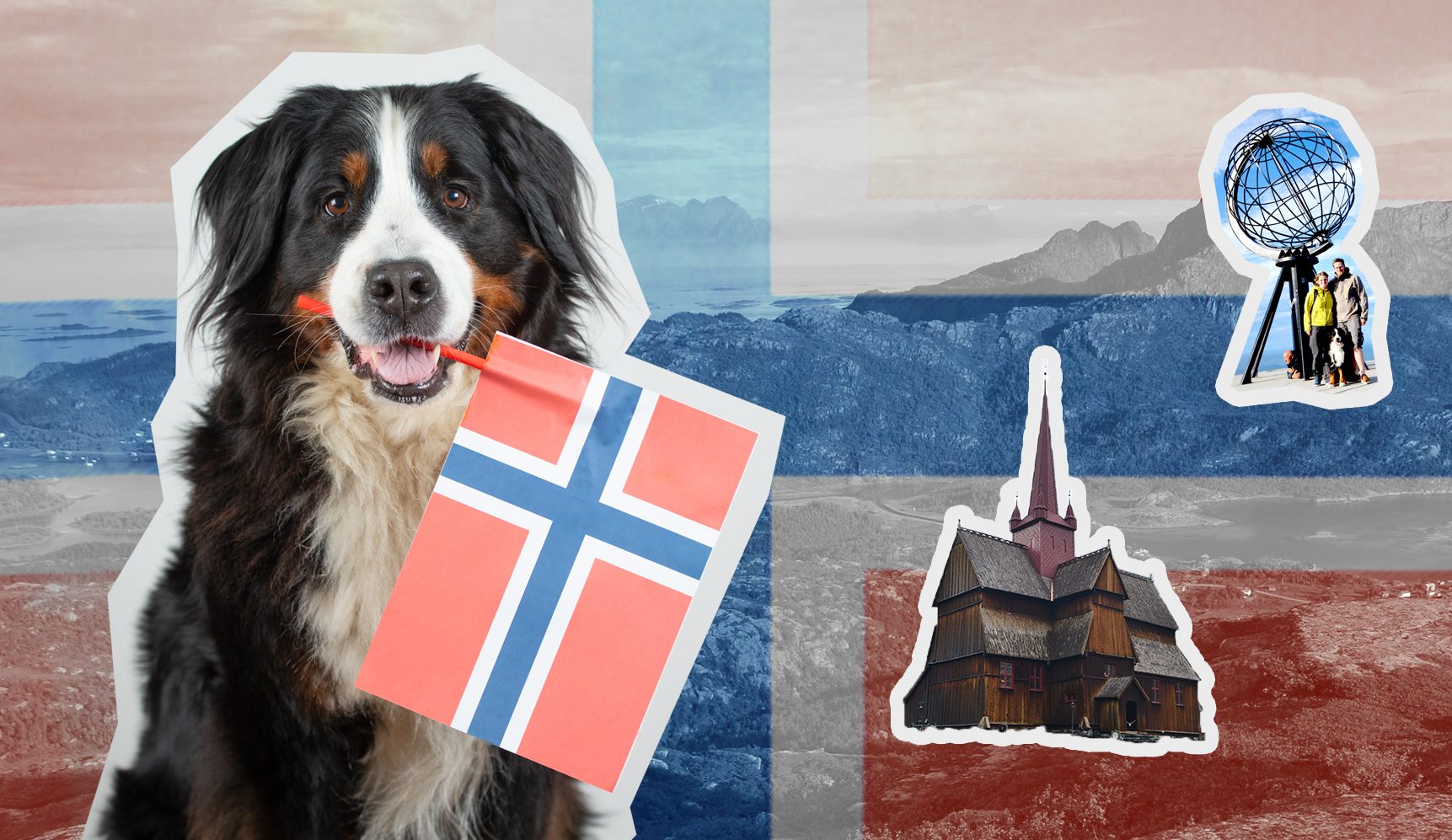 einen Blick: Hund Norwegen - Hundterwegs