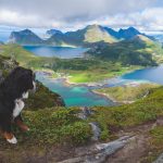 Ein steiles Stück: Mit Hund auf den Offersøykammen