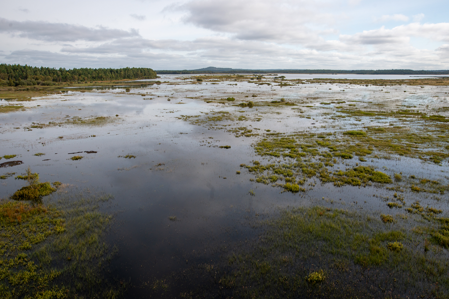 Der See Kävsjön im Nationalpark Store Mosse.