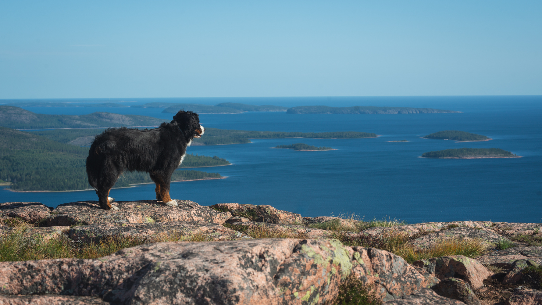 Mehr als Wälder: Schwedens Nationalparks umfassen vielfältige Landschaften - auch das Meer. 
